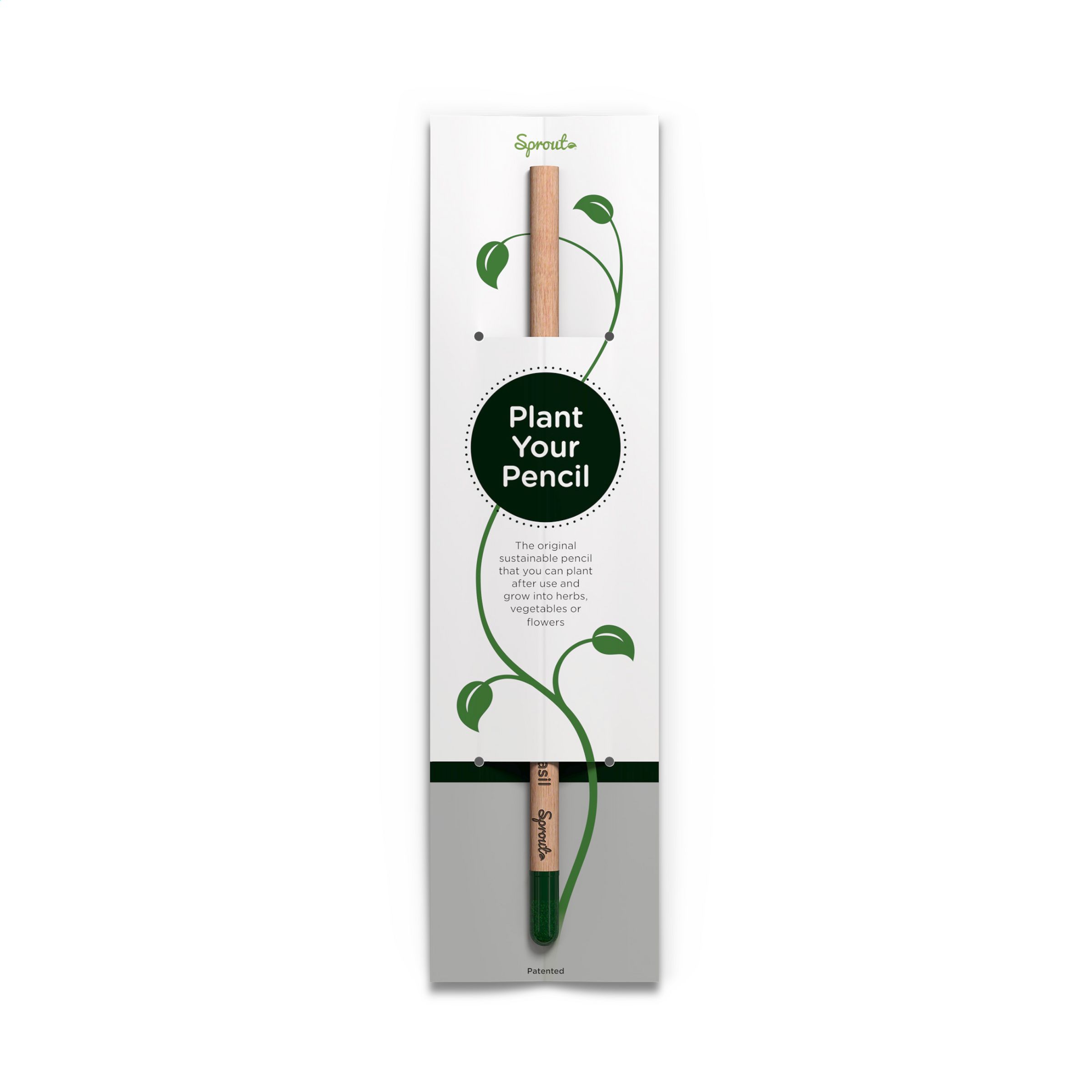 Porta-lápices de Cartón - Lascellas-Ponzano