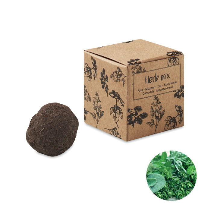 Kit de Explosión de Jardín de Hierbas - Fordham - Okondo