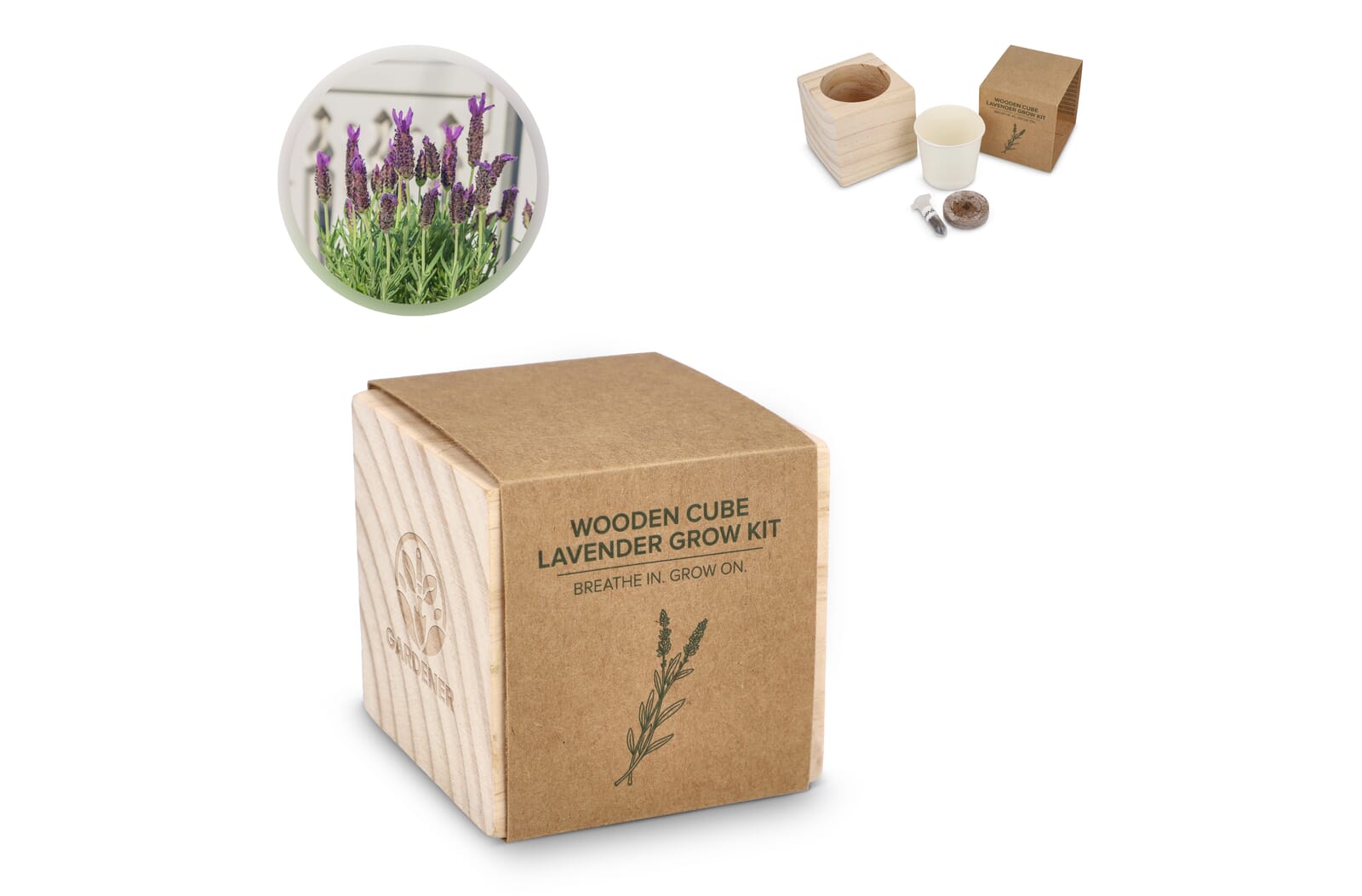 Conjunto de macetas de madera FSC - Lavanda - Estepona