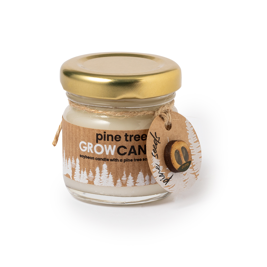 Vela de Semillas de Pino Ecológico - Auldearn - Santa Margalida