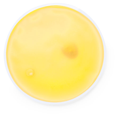 Paquete Térmico Reutilizable Calor+ - Sariñena