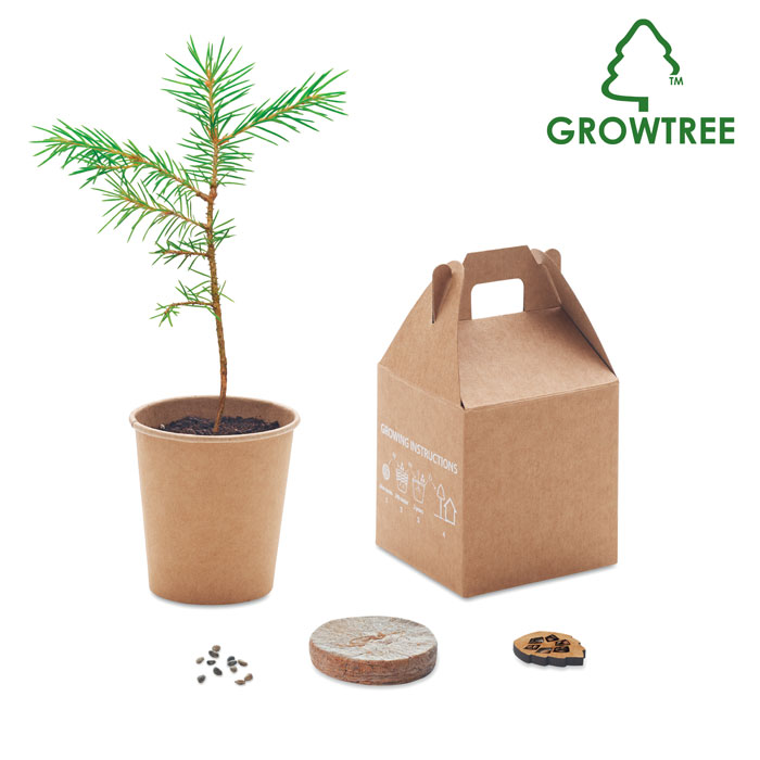 Kit de Plantación de Semillas de Pino - Igriés