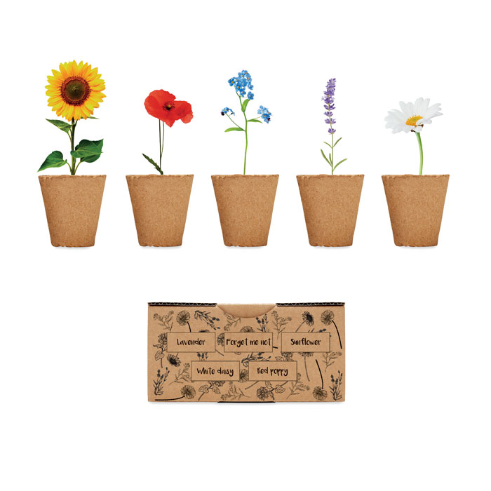 Kit de crecimiento de semillas de flores hecho en la UE con tableta de suelo - San Juan de Plan