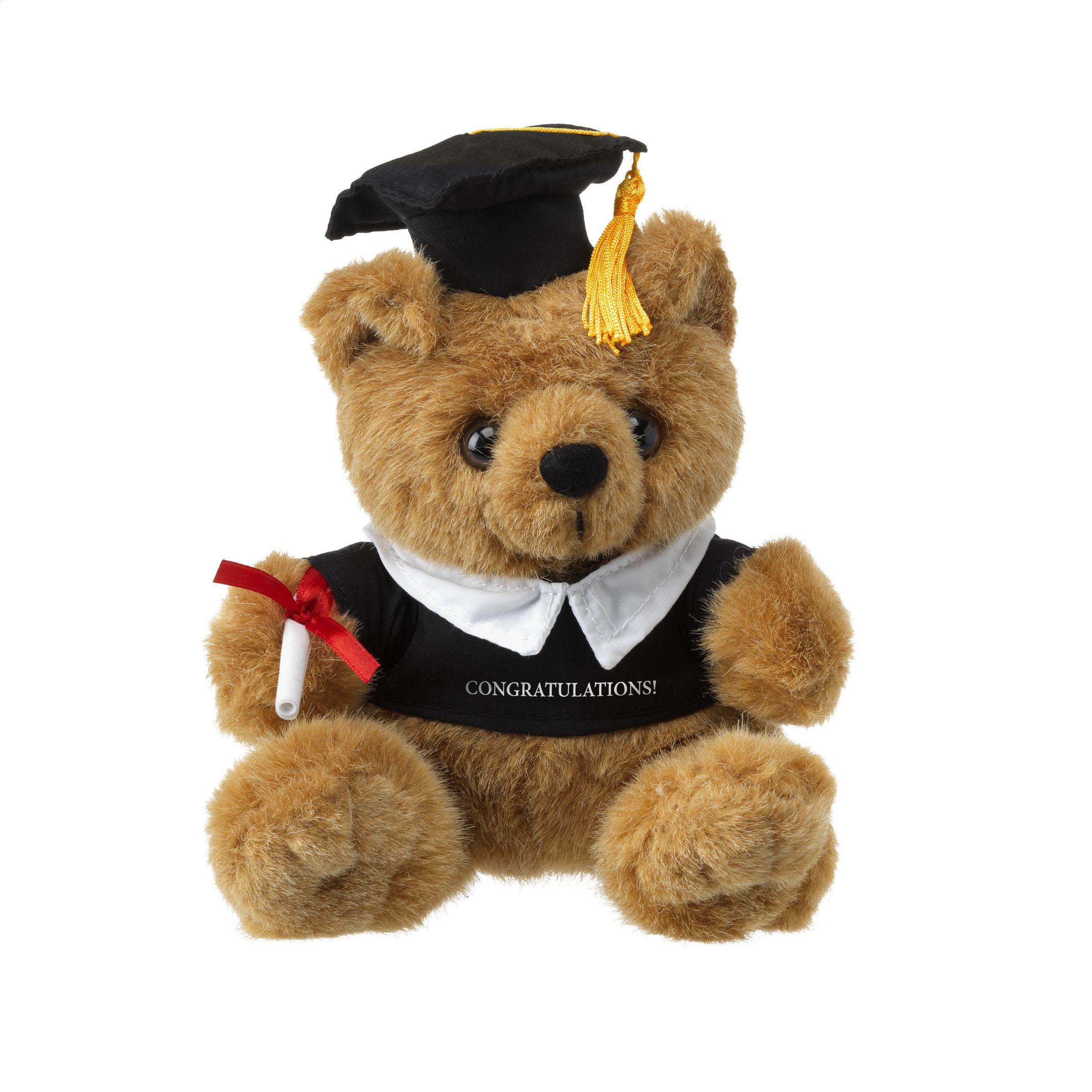 Oso de Peluche de Graduación - Sallent de Llobregat
