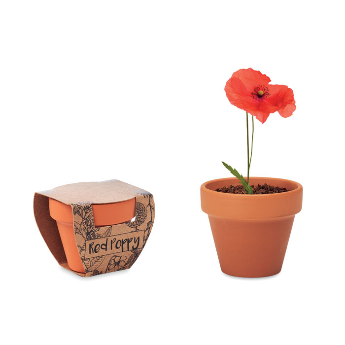 Maceta de Terracota con Semillas de Amapola - Fuerte del Rey
