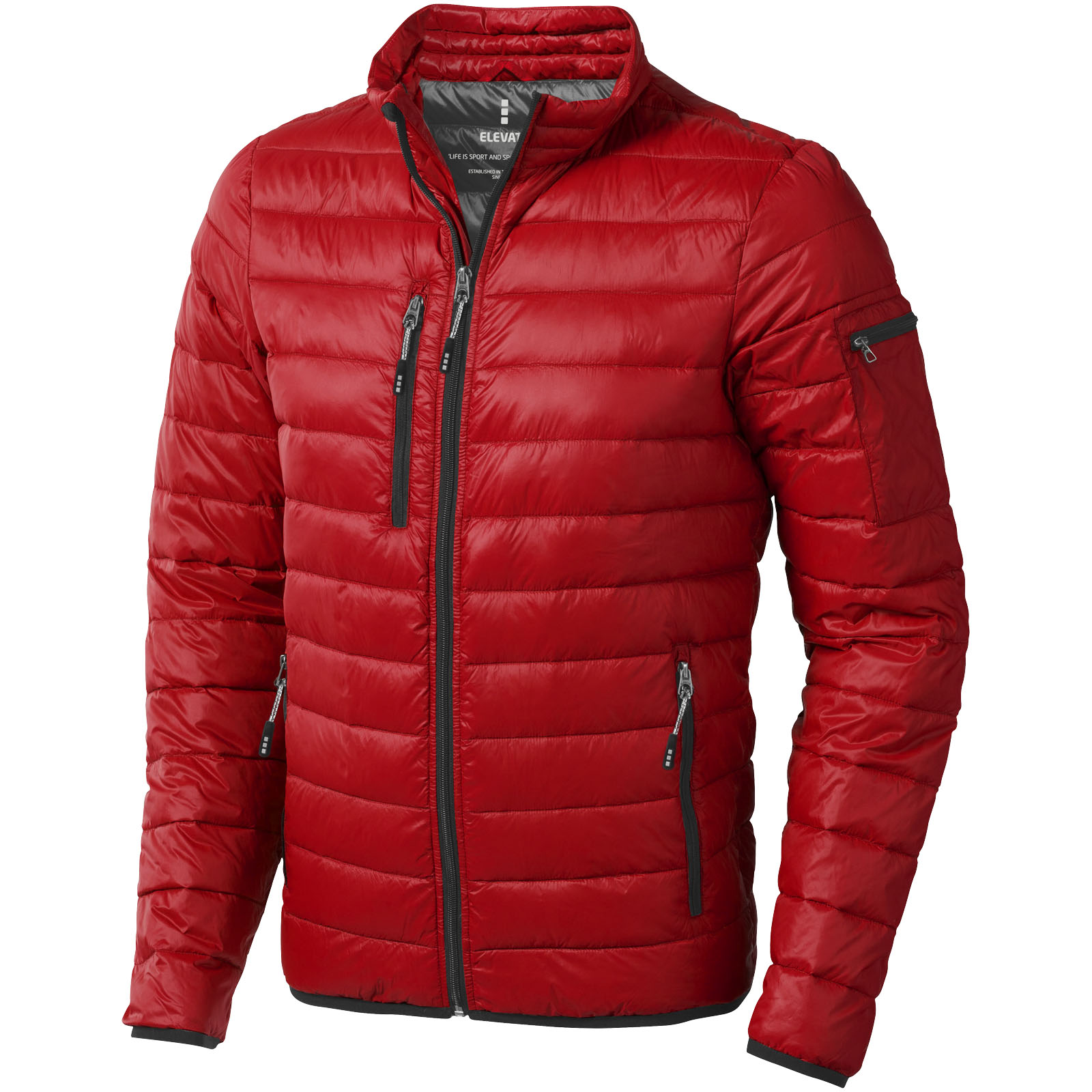 Chaqueta de plumas ligera para hombres de Scotia - Swineshead - Alpartir