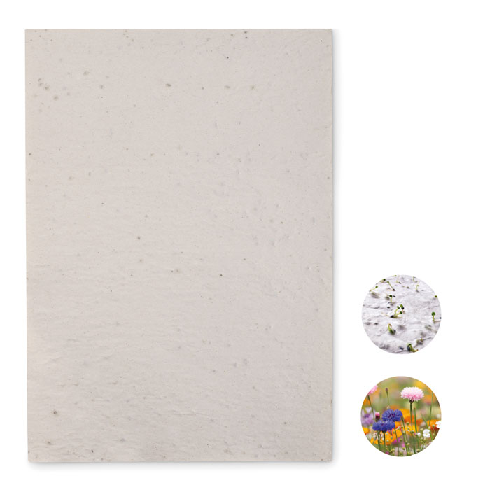 Papel de Semillas de Flores Silvestres EcoGrow A4 - Oxford - Urkabustaiz