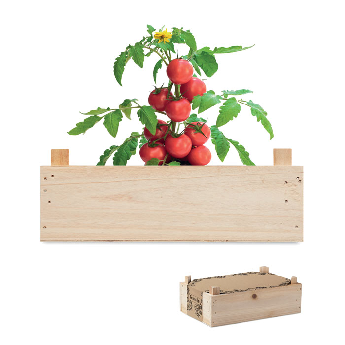 Kit de cultivo de tomates en caja de madera hecho en la UE - Recas