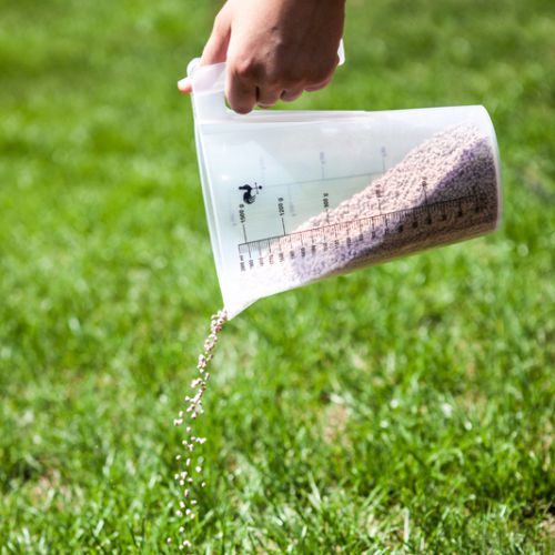 Copa de Medición Ecológica 1000 ml - Capdesaso