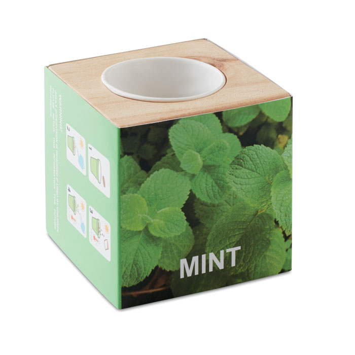 Maceta de Madera con Semillas de Menta - León