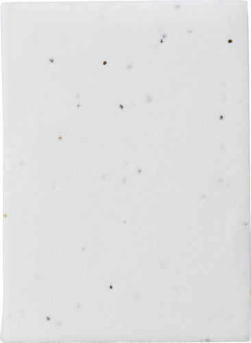 Notas Adhesivas EcoSeed - Belbroughton - Fene