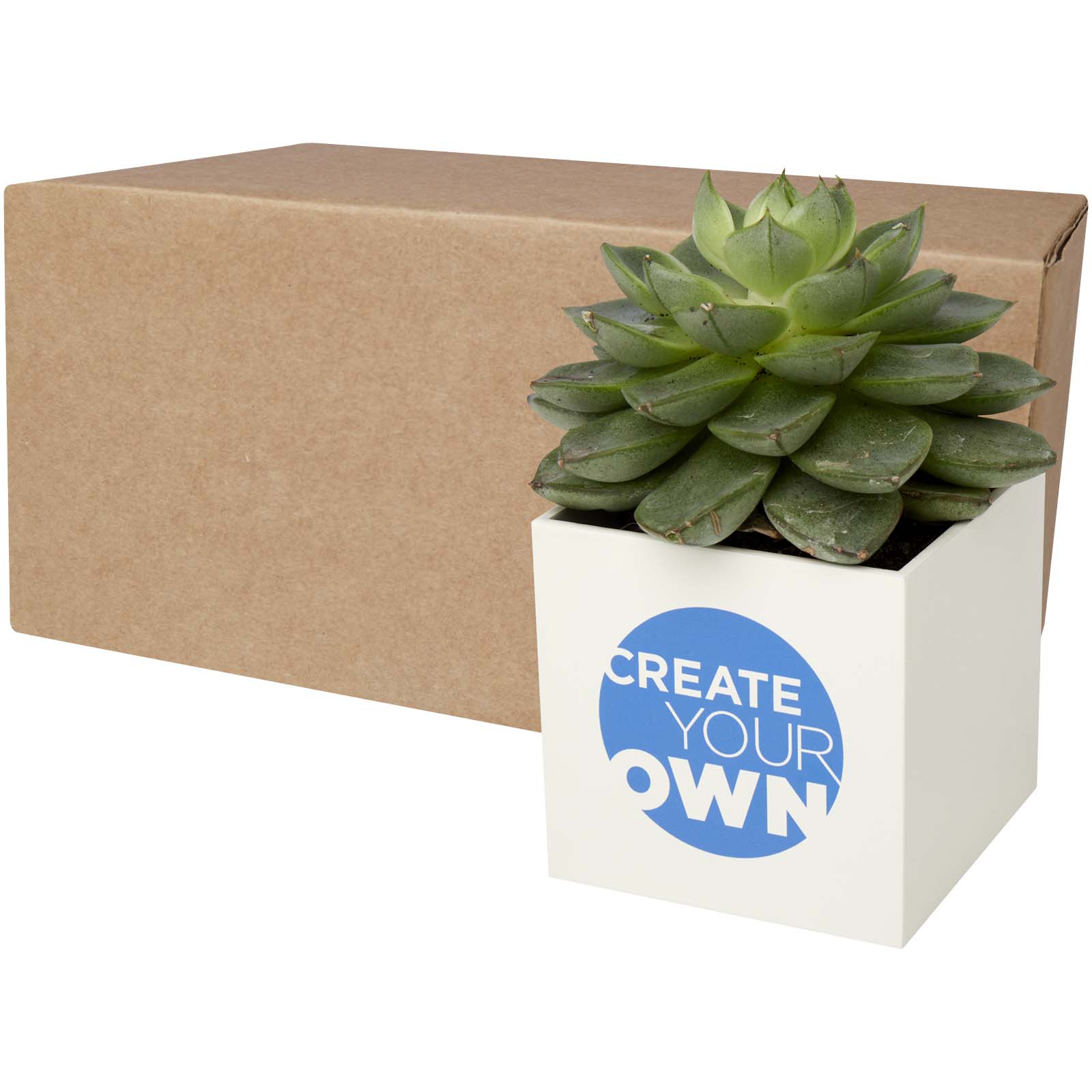 Maceta Elegante de Aluminio - Valle de Lierp