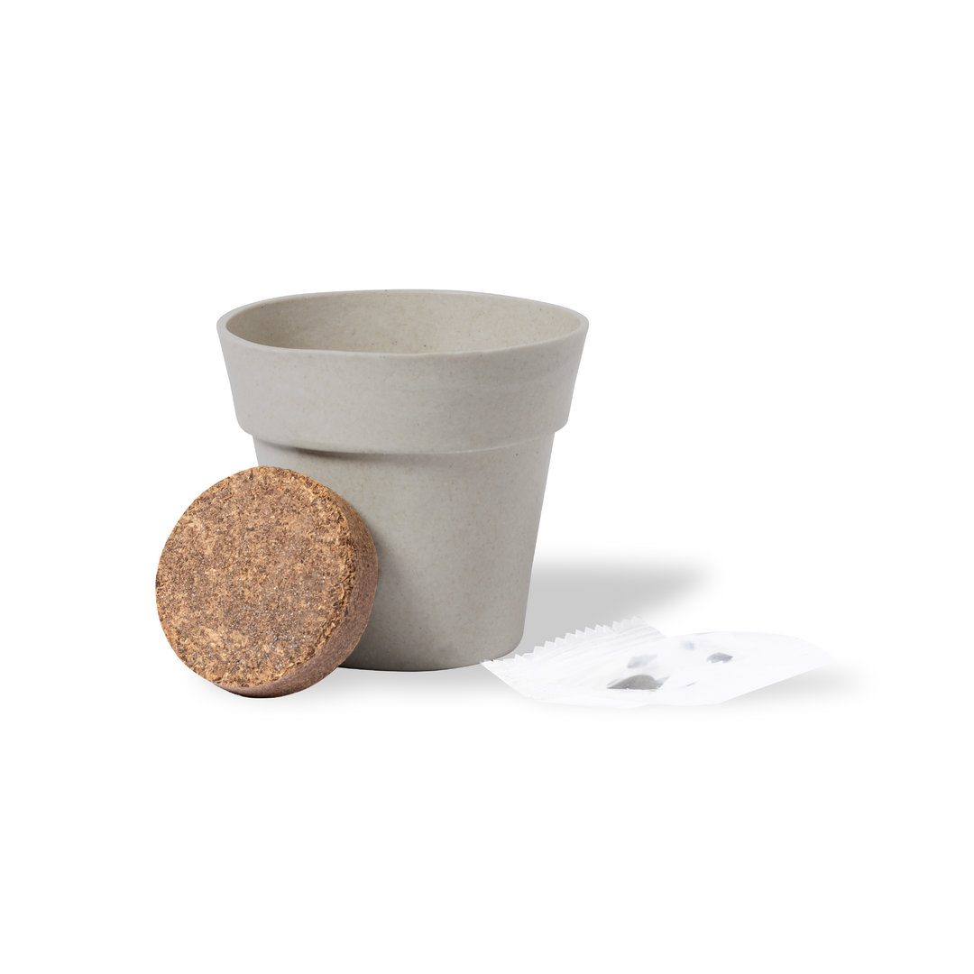 Maceta de Girasol - El Real de San Vicente