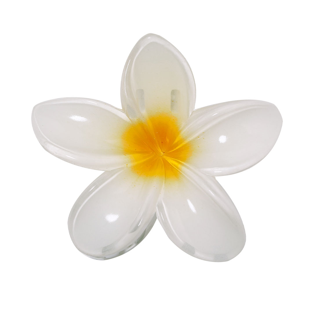 Flor de Cabello - Sos del Rey Católico bedrukken met logo