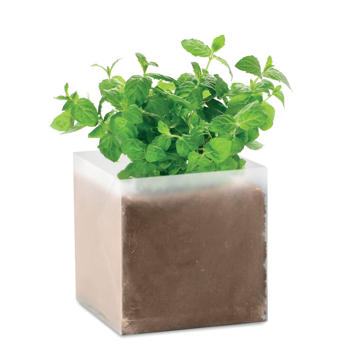 Sustrato Mágico de Menta - Borredà