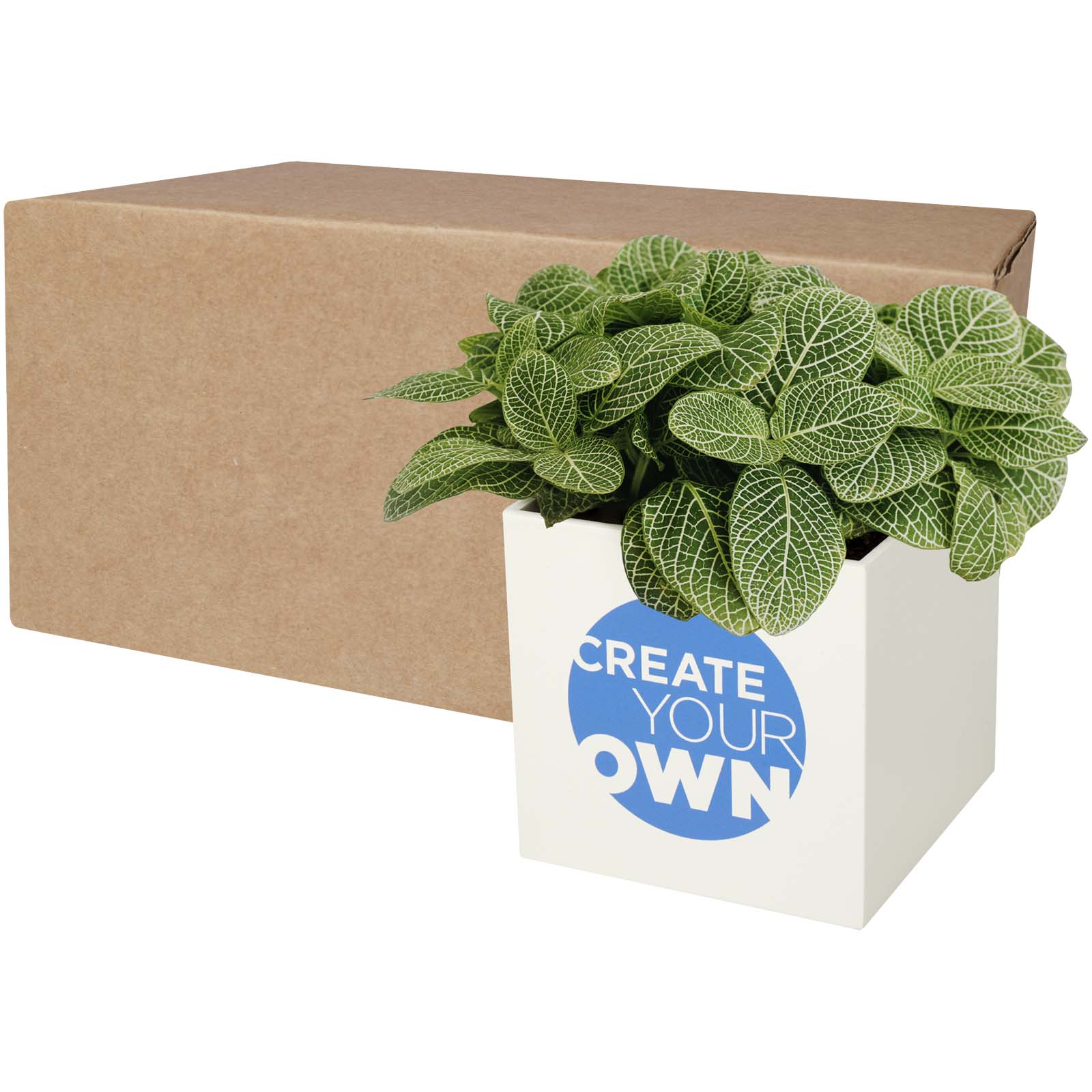 Maceta Aluminio Verde - Rielves